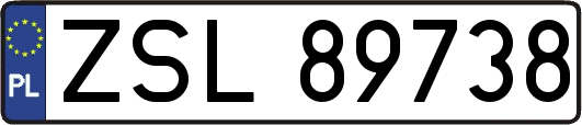 ZSL89738