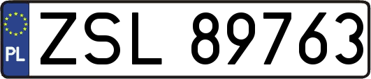 ZSL89763