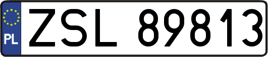 ZSL89813