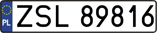 ZSL89816