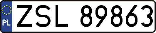 ZSL89863