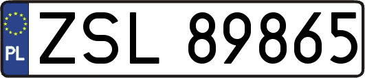 ZSL89865