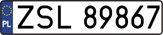 ZSL89867