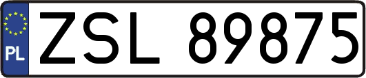 ZSL89875