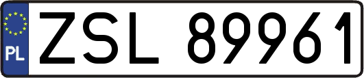 ZSL89961