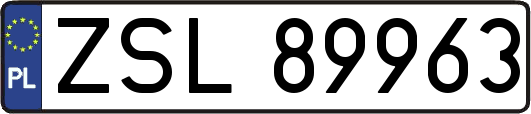 ZSL89963