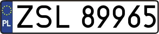 ZSL89965