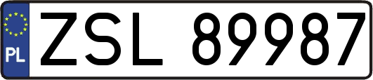 ZSL89987