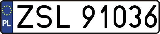 ZSL91036
