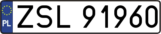 ZSL91960