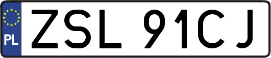 ZSL91CJ