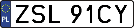 ZSL91CY