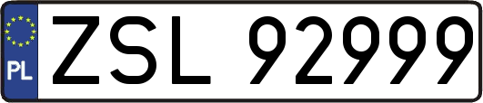 ZSL92999