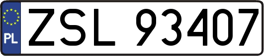 ZSL93407