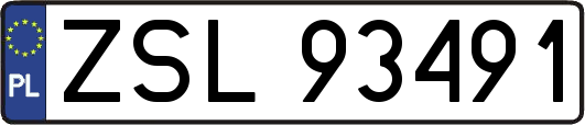 ZSL93491
