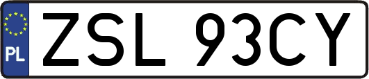 ZSL93CY
