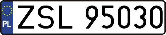 ZSL95030