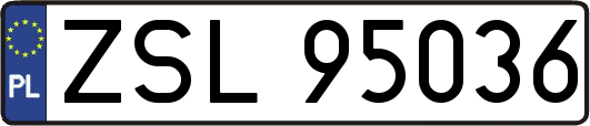 ZSL95036