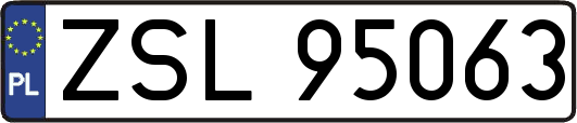 ZSL95063
