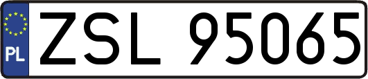 ZSL95065