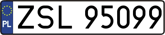 ZSL95099