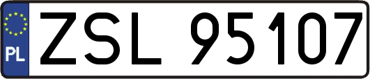 ZSL95107