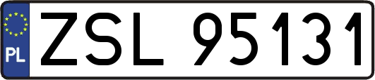 ZSL95131