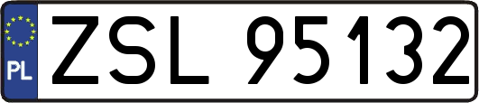 ZSL95132