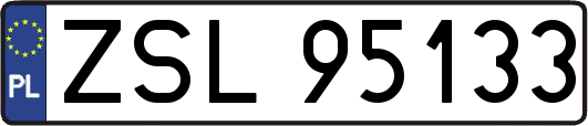 ZSL95133