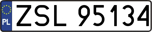 ZSL95134