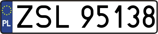 ZSL95138