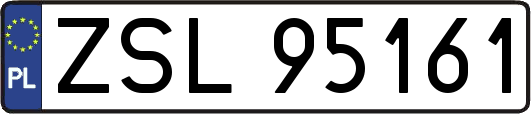 ZSL95161