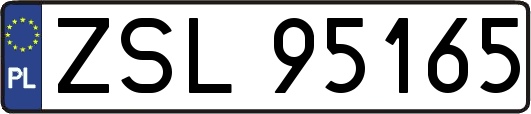 ZSL95165
