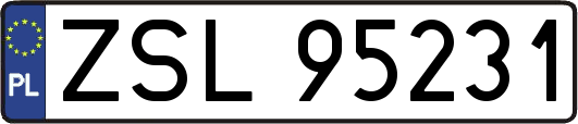 ZSL95231