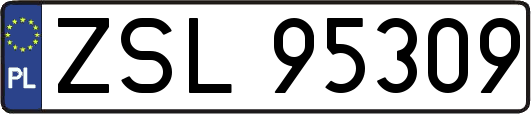 ZSL95309