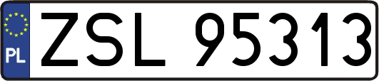 ZSL95313