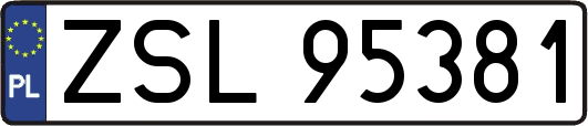 ZSL95381