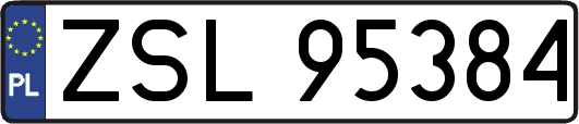 ZSL95384