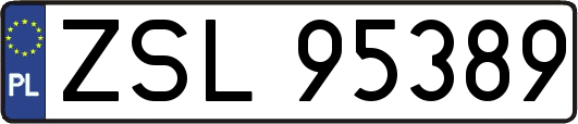 ZSL95389