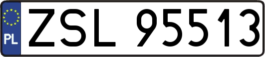 ZSL95513