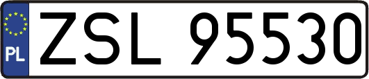 ZSL95530