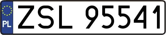 ZSL95541