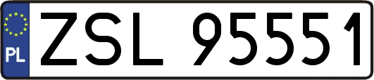 ZSL95551