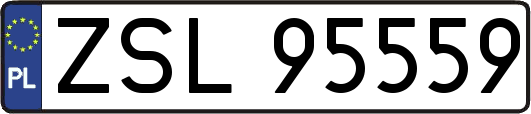 ZSL95559