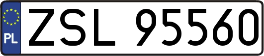 ZSL95560