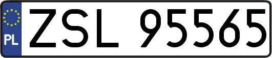 ZSL95565