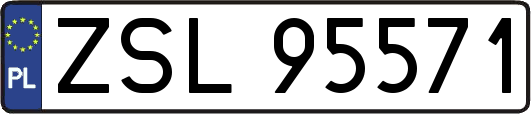 ZSL95571