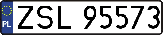 ZSL95573