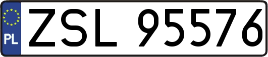ZSL95576