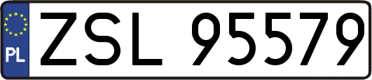 ZSL95579